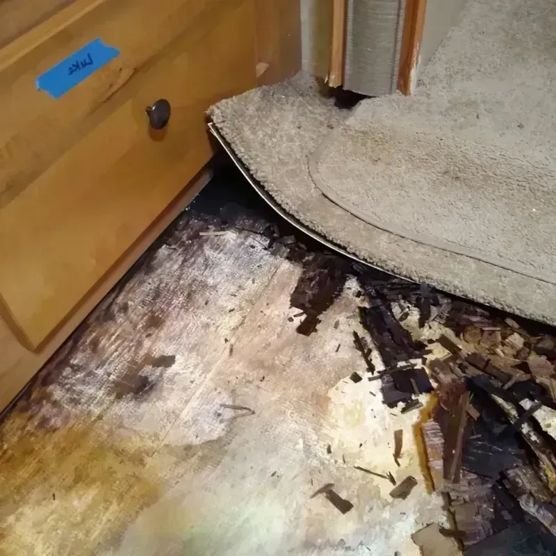 Best Wood Floor Water Damage Service in Muskegon, MI